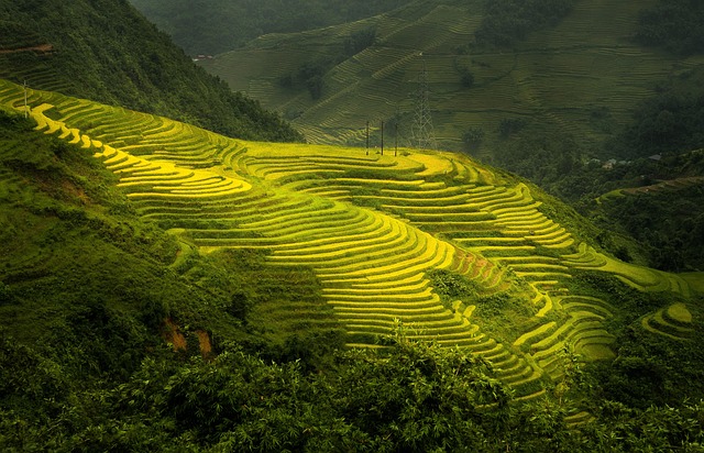 Affordable Hotels in Sapa With Mountain Views