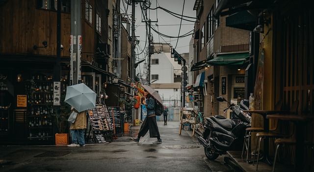 Affordable Travel Tips in Japan