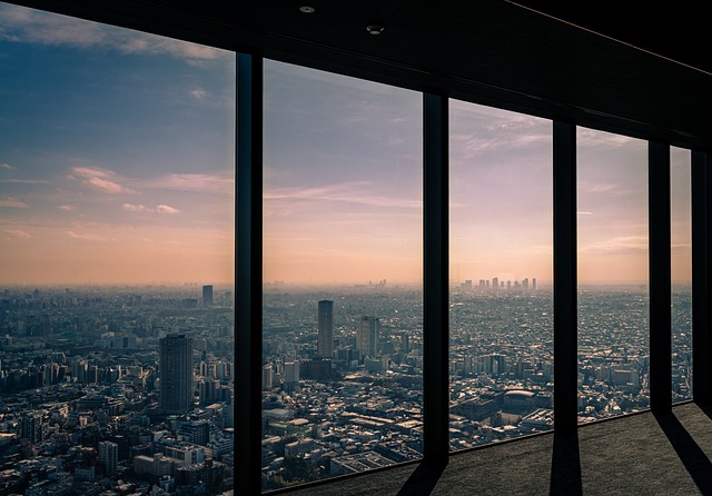 Best Budget Hotels in Tokyo Shibuya for First Time Visitors