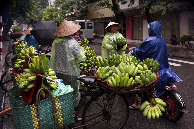 Best Food in Hanoi You Must Try