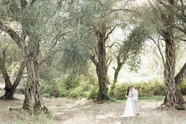 Best Villas in France for Honeymoon With Romantic Atmosphere