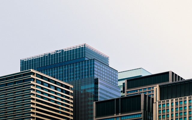 Business Hotels in Tokyo With Work Facilities