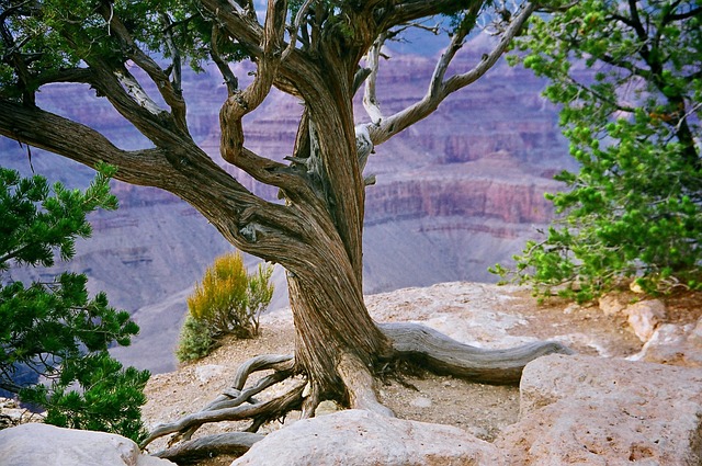 Desert Resorts in Arizona With Scenic Views