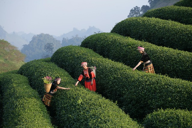 Food Travel Across France You Must Experience