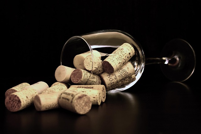 Luxury Villas in Bordeaux With Vineyard Views and Wine Experience for Couples
