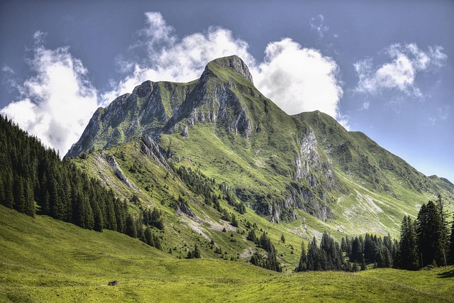 Private Villas in Alps France With Cozy Interior for Family Stay
