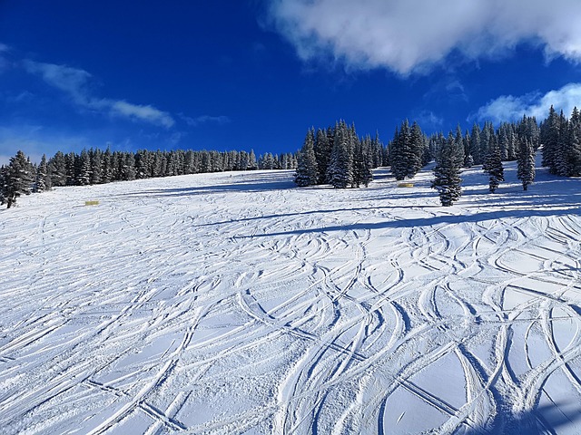 What to Expect From Winter Resorts in Colorado