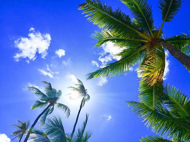 Why Hawaii Resorts Are Perfect for Romantic Getaway