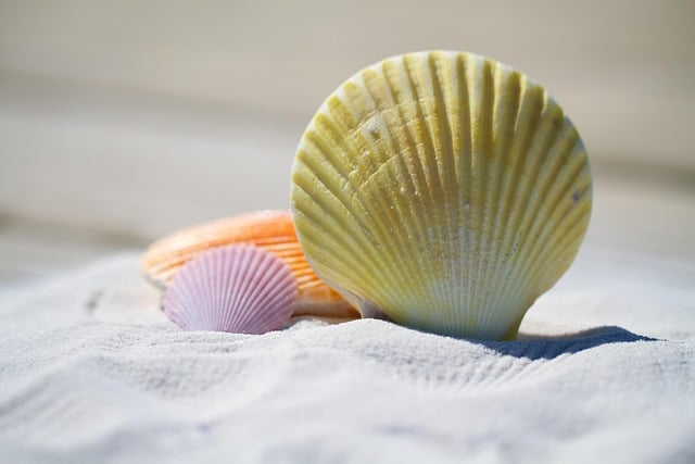 Albania Beach Homestays for Coastal Holidays