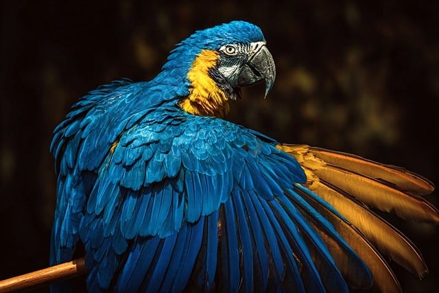 Amazon Homestays for Nature Trips