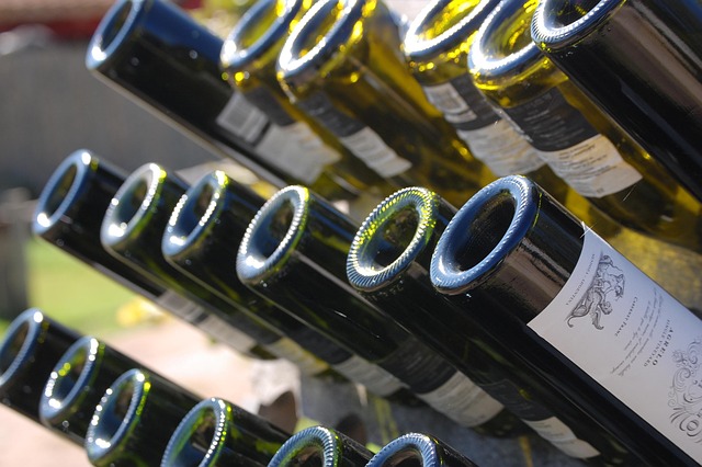 Mendoza Wine Lodges