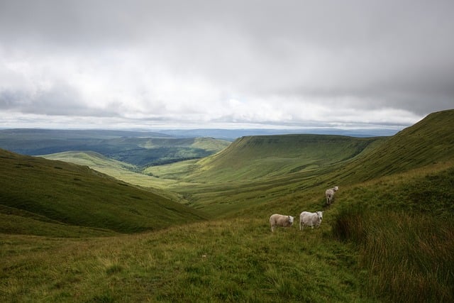 Brecon Beacons Lodges for Hikers