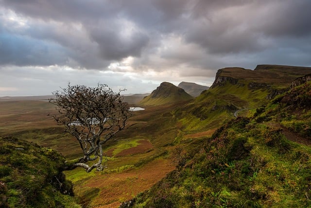 Skye Hotels for Wild Mornings