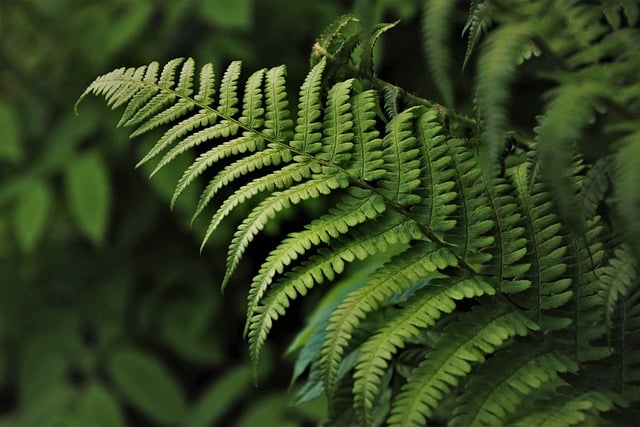 Finding Rainforest Calm in Suriname