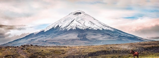 Sleeping Beneath Cotopaxi's Snowy Peak